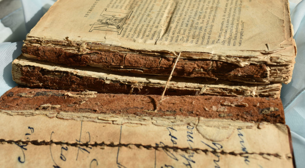 water damaged book spine in decay