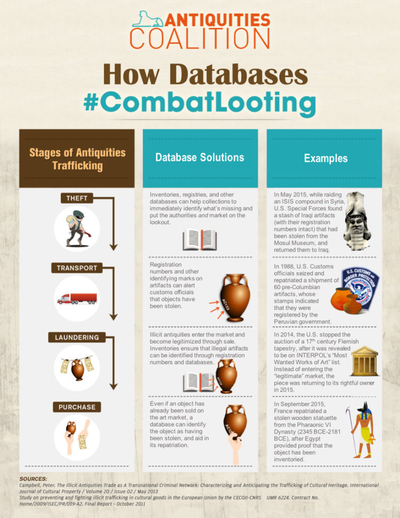 Antiques Coalition Combat Looting Infographic