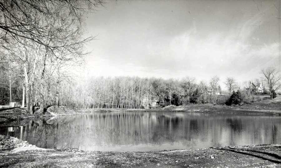 picture of a lake with trees behind it