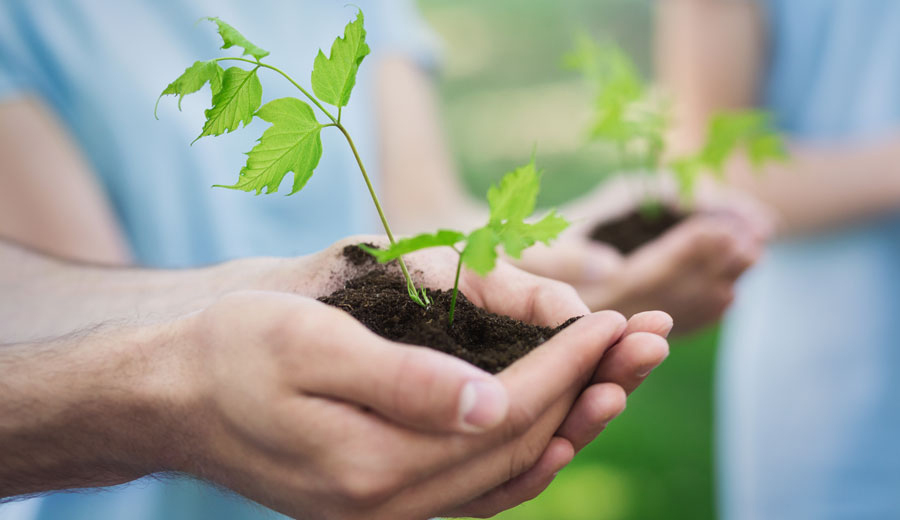 Passing on legacy can impact business